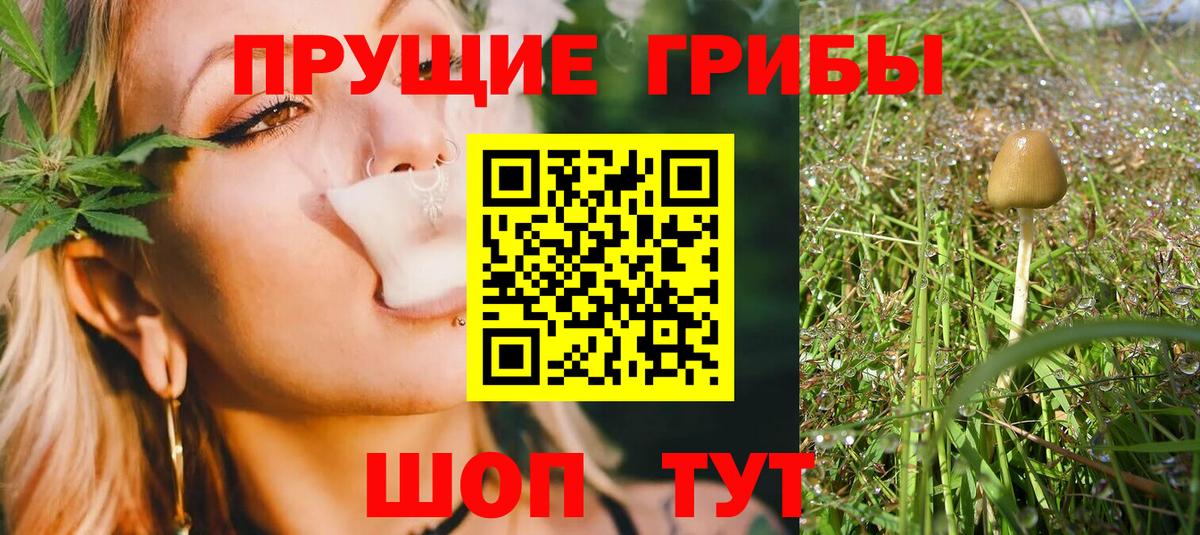 Чайковский  Псилоцибиновые грибы ЛСД  Галлюциногенные грибы ЛСД  Вход с VPN 